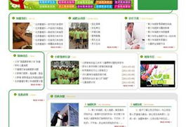 沈陽網站建設與設計 打造專業在線形象，驅動企業數字增長
